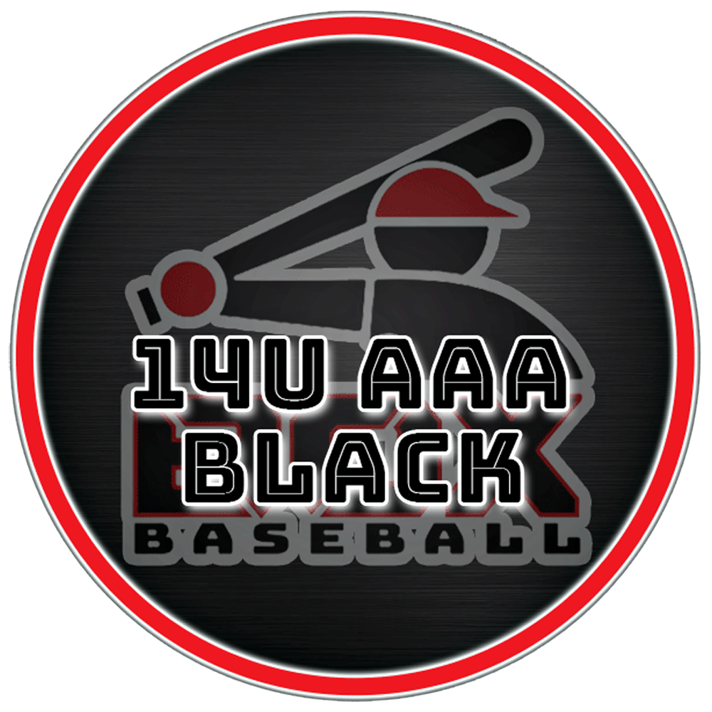 14Black Batters Box Baseball